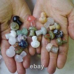 1000Pcs 5kg Tiny Natural Quartz Crystal Jasper Mushroom Mix Stone Tumble Healing