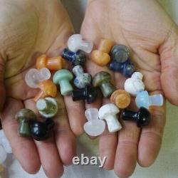 1000Pcs 5kg Tiny Natural Quartz Crystal Jasper Mushroom Mix Stone Tumble Healing