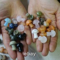 1000Pcs 5kg Tiny Natural Quartz Crystal Jasper Mushroom Mix Stone Tumble Healing