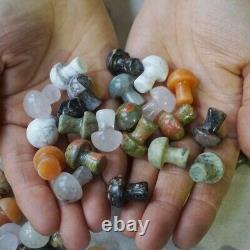 1000Pcs 5kg Tiny Natural Quartz Crystal Jasper Mushroom Mix Stone Tumble Healing