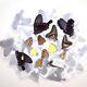100 Butterflies Moths Papered Unmounted Wings Closed Wholesale Lot Mix