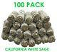 100 California White Sage Smudge Sticks 4-5 Long, Bulk Wholesale Lot Of 100