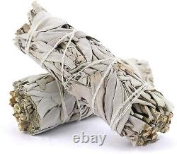 100 White sage smudge 4 CALIFORNIA White Smudge Bulk Wholesale Deal