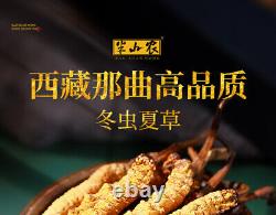 100% natural Tibetan wild Ophiocordyceps Sinensis/Cordyceps sinensis Wholesale