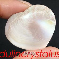 100pcs Wholesale Natural Sun shells Heart Skull Quartz Crystal Skull Gem 3.43LB+