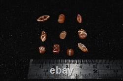 10 Ancient Etched Carnelian Longevity Stone Beads in very Good Condition