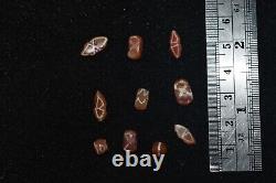 10 Ancient Etched Carnelian Longevity Stone Beads in very Good Condition