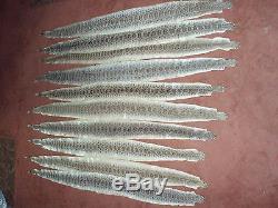 10 rattlesnake skins prairie wholesale soft tanned bow wrap pen blanks 47-51 in