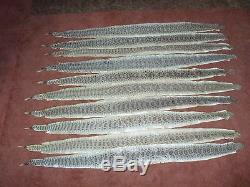 10 rattlesnake skins prairie wholesale soft tanned bow wrap pen blanks 47-51 in
