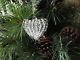 12 Spun Glass Heart Christmas Ornaments Hearts Cute Wedding Favors Ornament