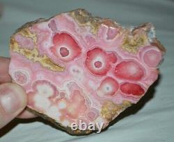 14 pcs LOT Rhodochrosite Stalagmite Slabs from Argentina Wholesale Bulk