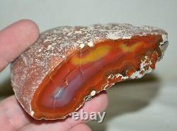 16 PCS LOT Banded Agates from Patagonia Argentina Bulk Wholesale