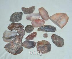 16 PCS LOT Banded Agates from Patagonia Argentina Bulk Wholesale
