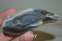16 PCS LOT Banded Agates from Patagonia Argentina Bulk Wholesale