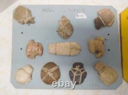 19 Piece Native American Rare Stone Arrowheads & Hide Scrappers Mounted on Cards