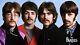 200+ Beatles Album Collection! Vinyl Discs Rare, Foreign, Bootlegs
