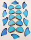 20 Pieces Assorted Blue Morpho Butterfly Wings Wholesale Lot Jewelry Artwork