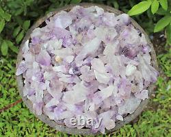 20 lb Wholesale Box Lot of CLEARANCE Amethyst Crystal Points (Amethyst Points)