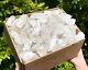20 Lb Wholesale Box Lot Of Clearance Natural Quartz Crystal Points (great Value)