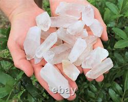 20 lb Wholesale Box Lot of CLEARANCE Natural Quartz Crystal Points (GREAT VALUE)