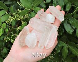 20 lb Wholesale Box Lot of CLEARANCE Natural Quartz Crystal Points (GREAT VALUE)
