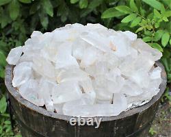 20 lb Wholesale Box Lot of CLEARANCE Natural Quartz Crystal Points (GREAT VALUE)