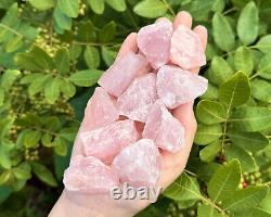 20 lb Wholesale Box Lot of Natural Rough Rose Quartz Crystals (Raw Love Stone)