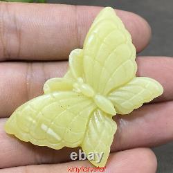 20pcs Wholesale Mixed Natural Butterfly Quartz Crystal Skull Carved Figurines 2