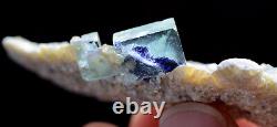 21PCS Natural wholesale Batch Purple FLUORITE Mineral Specimen/Inner Mongolia