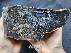 27.4 lbs (12.4 kg) 10x Agate Rough, Wholesale Agate, Bulk Agate, Lapidary Slab