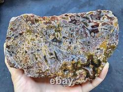 27.4 lbs (12.4 kg) 10x Agate Rough, Wholesale Agate, Bulk Agate, Lapidary Slab