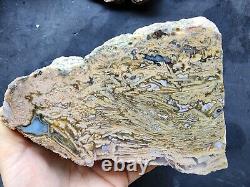 27.4 lbs (12.4 kg) 10x Agate Rough, Wholesale Agate, Bulk Agate, Lapidary Slab