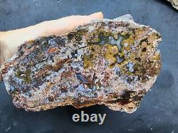 27.4 lbs (12.4 kg) 10x Agate Rough, Wholesale Agate, Bulk Agate, Lapidary Slab