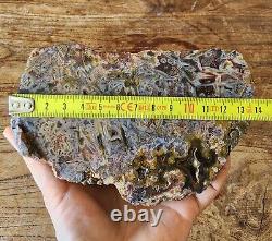 27.4 lbs (12.4 kg) 10x Agate Rough, Wholesale Agate, Bulk Agate, Lapidary Slab
