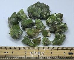 295 Gram Peridot Crystals Specimen lot From Pakistan 13 Pcs
