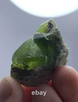295g Peridot Terminated Crystals Specimen lot from Pakistan