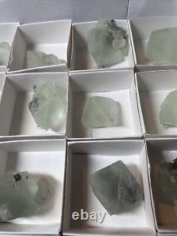 29 Piece Green Fluorite Xiang Hualing Mineral Specimen Wholesale lot Hunan Prov