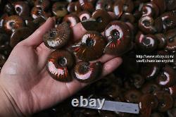 2.2lb Wholesale Price! 80-110 Pcs Rainbow Ammonite Fossil Crystal Specimen