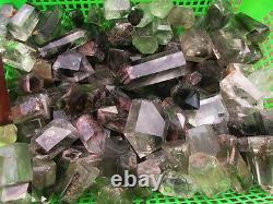 2lb Wholesale Natural chlorite ghost phantom quartz rock point healing 10-16pcs