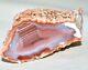 31 Pcs Lot Banded Agates From Patagonia Argentina Collector Pieces Wholesale