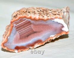 31 PCS LOT Banded Agates from Patagonia Argentina collector pieces Wholesale