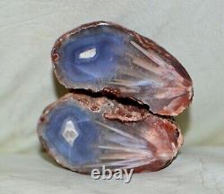 31 PCS LOT Banded Agates from Patagonia Argentina collector pieces Wholesale