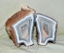 31 PCS LOT Banded Agates from Patagonia Argentina collector pieces Wholesale