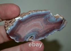 31 PCS LOT Banded Agates from Patagonia Argentina collector pieces Wholesale