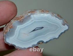 31 PCS LOT Banded Agates from Patagonia Argentina collector pieces Wholesale
