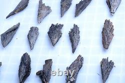 34Pcs Natural Wholesale Black Tourmaline Mineral Specimen/ China