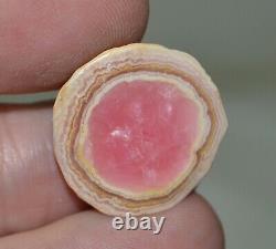 38 pcs lot Rhodochrosite stalactites stalagmites from Argentina Wholesale Bulk