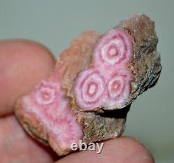 38 pcs lot Rhodochrosite stalactites stalagmites from Argentina Wholesale Bulk