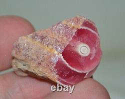 38 pcs lot Rhodochrosite stalactites stalagmites from Argentina Wholesale Bulk