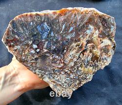 39.9 lbs 20 Lapidary Rough lbs, Wholesale Turkish Agate Slabs, Large Agate Stone